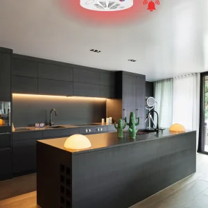 Đầu Báo Nhiệt Không Dây SafeFire SF-X Base
