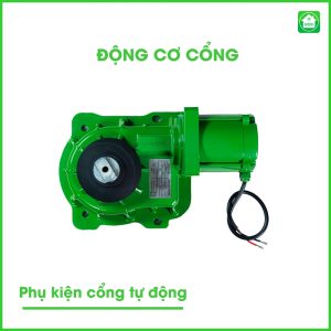 Dong Co Cong